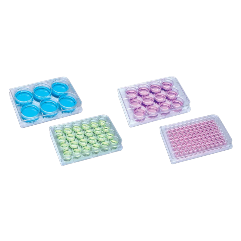Multiwell Plates - For Cell Culture