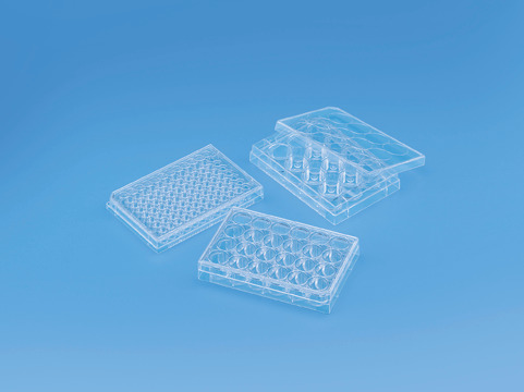 Tissue Culture Plate- Sterile